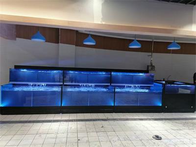 海鲜鱼缸设计制作